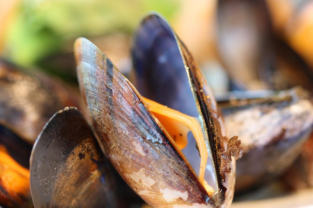 Oyster Inn Connel Oban Luaran gambar
